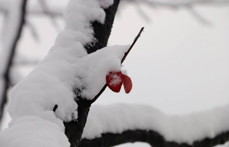 2018初雪